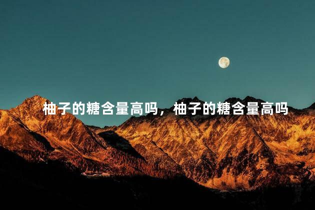 柚子的糖含量高吗，柚子的糖含量高吗