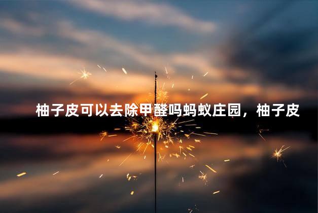 柚子皮可以去除甲醛吗蚂蚁庄园，柚子皮可以去除甲醛吗蚂蚁庄园答题