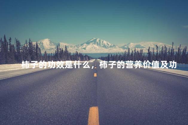 柿子的功效是什么，柿子的营养价值及功效与作用