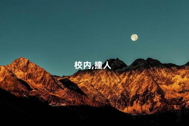 校内,撞人
