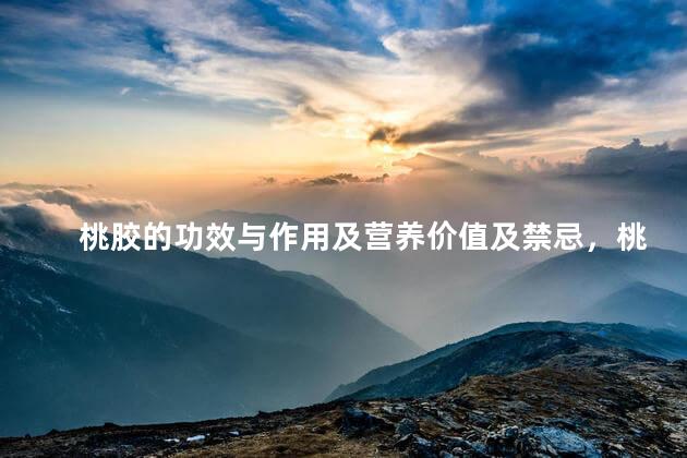 桃胶的功效与作用及营养价值及禁忌，桃胶的功效与作用及营养价值及禁忌