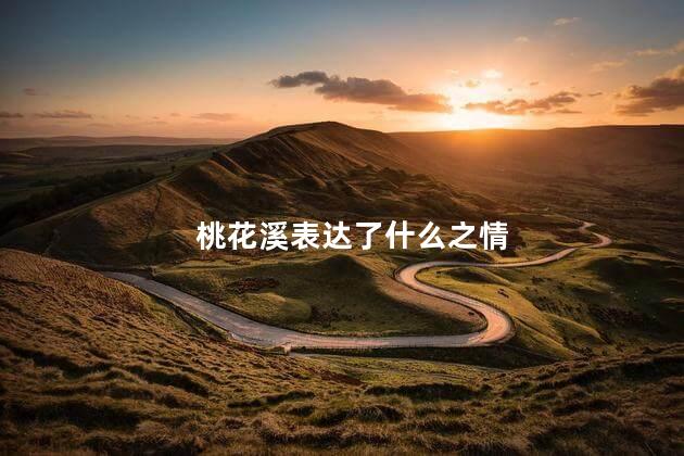 桃花溪表达了什么之情