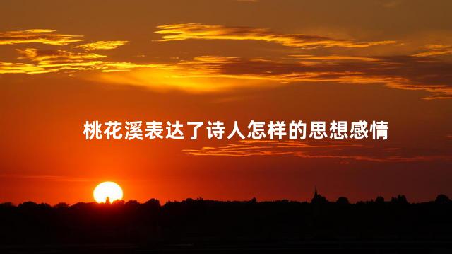 桃花溪表达了诗人怎样的思想感情