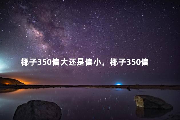 椰子350偏大还是偏小，椰子350偏大还是偏小女