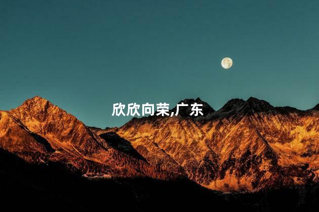 欣欣向荣,广东