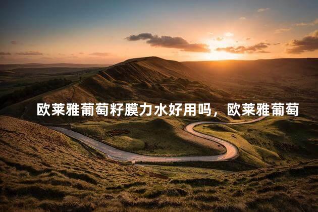 欧莱雅葡萄籽膜力水好用吗，欧莱雅葡萄籽膜力水怎么样