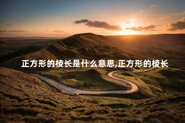 正方形的棱长是什么意思,正方形的棱长是什么什么叫棱长 正方形的棱长是什么意思,正方形的棱长是什么什么叫棱长