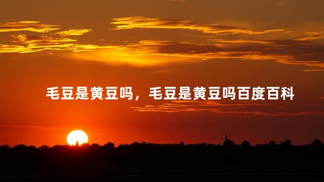 毛豆是黄豆吗，毛豆是黄豆吗百度百科