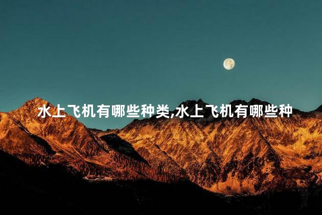 水上飞机有哪些种类,水上飞机有哪些种类图片 水上飞机有哪些种类,水上飞机有哪些种类图片