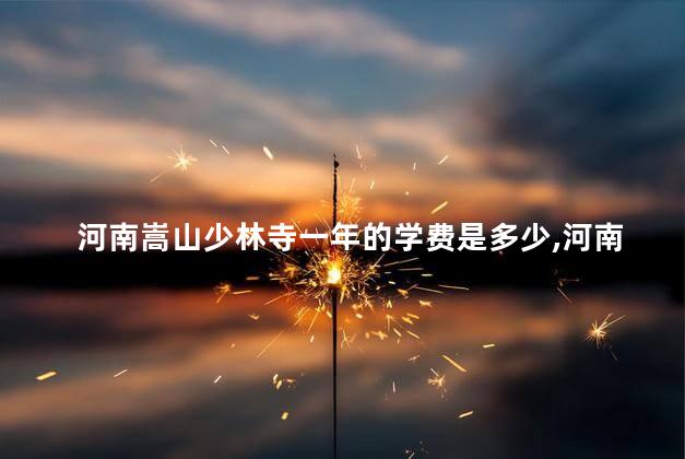 河南嵩山少林寺一年的学费是多少,河南嵩山少林寺收费标准 河南嵩山少林寺一年的学费是多少,河南嵩山少林寺收费标准