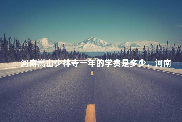 河南嵩山少林寺一年的学费是多少，河南嵩山少林寺收费标准