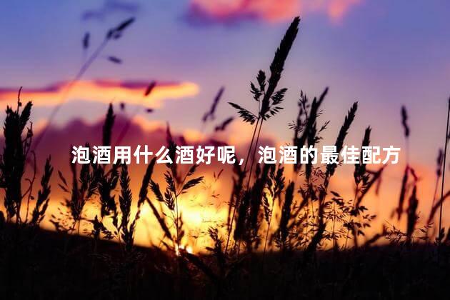 泡酒用什么酒好呢，泡酒的最佳配方