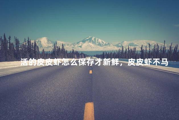 活的皮皮虾怎么保存才新鲜，皮皮虾不马上吃怎么存放