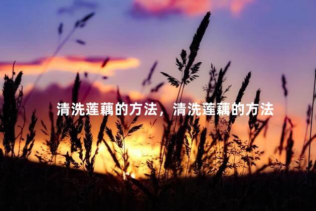 清洗莲藕的方法，清洗莲藕的方法