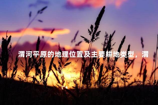 渭河平原的地理位置及主要耕地类型，渭河平原的地理位置图