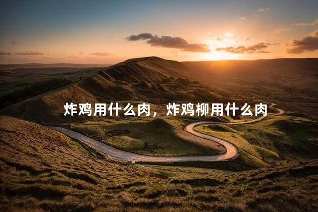 炸鸡用什么肉，炸鸡柳用什么肉