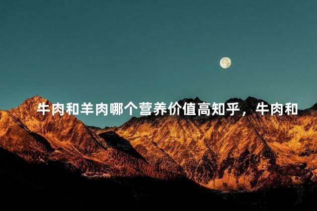 牛肉和羊肉哪个营养价值高知乎，牛肉和羊肉哪个营养价值高