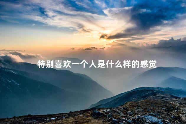 特别喜欢一个人是什么样的感觉