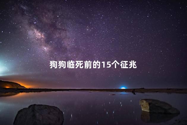 狗狗临死前的15个征兆