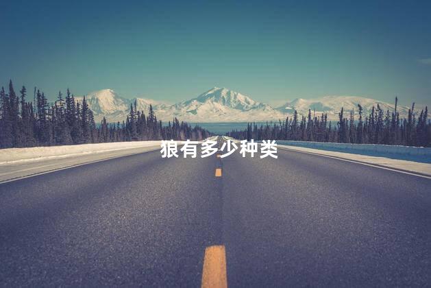 狼有多少种类