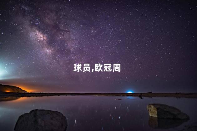 球员,欧冠周