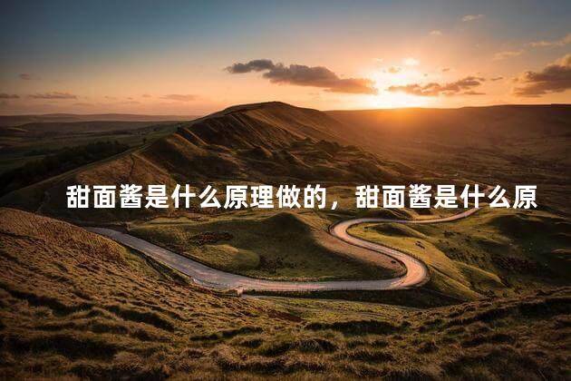 甜面酱是什么原理做的，甜面酱是什么原理做的呢