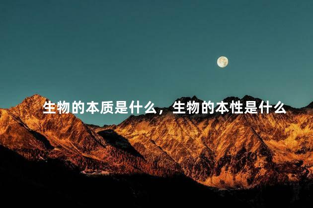 生物的本质是什么，生物的本性是什么