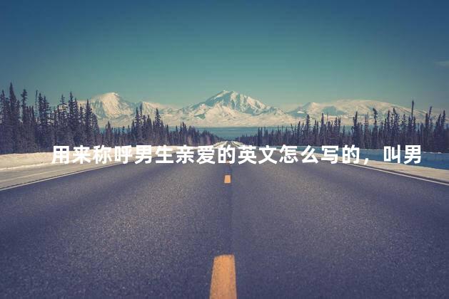 用来称呼男生亲爱的英文怎么写的，叫男的亲爱的英文怎么写