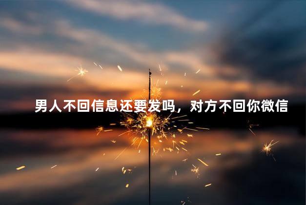 男人不回信息还要发吗，对方不回你微信说明什么