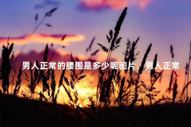 男人正常的腰围是多少呢图片，男人正常的腰围是多少呢视频
