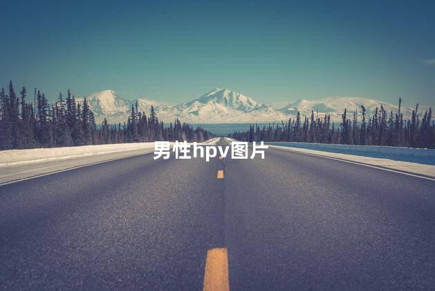 男性hpv图片