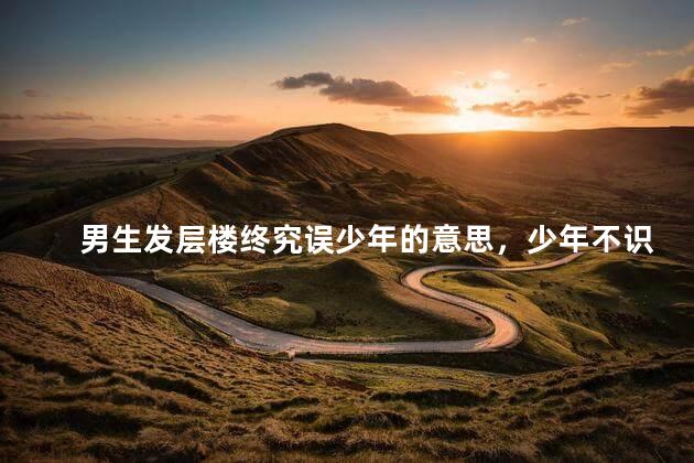 男生发层楼终究误少年的意思，少年不识愁滋味,爱上层楼