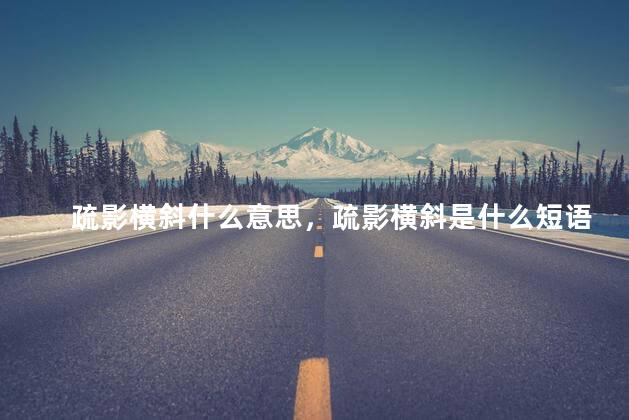 疏影横斜什么意思，疏影横斜是什么短语