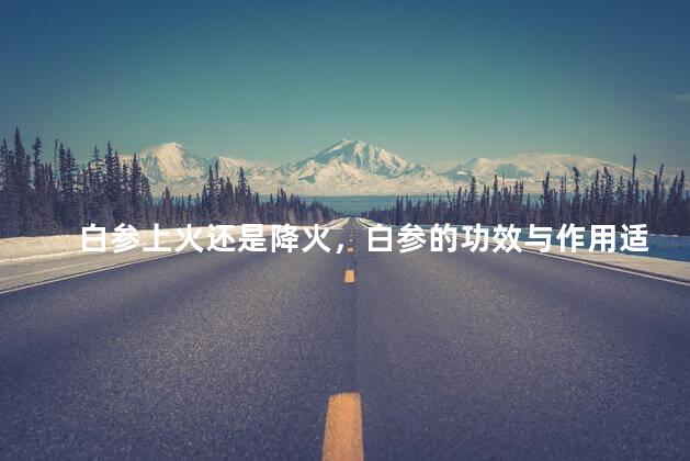 白参上火还是降火，白参的功效与作用适合哪些人