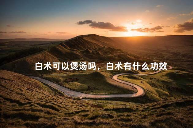 白术可以煲汤吗，白术有什么功效