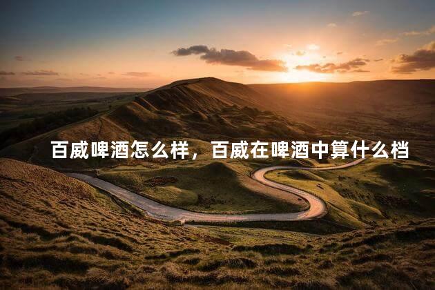 百威啤酒怎么样，百威在啤酒中算什么档次