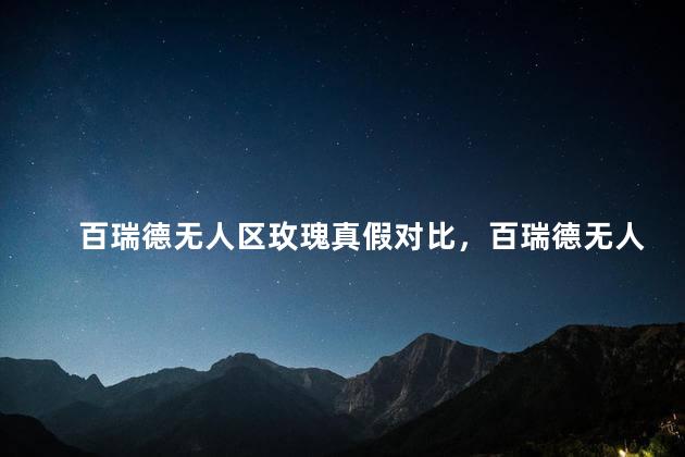 百瑞德无人区玫瑰真假对比，百瑞德无人区玫瑰怎么辨别真假