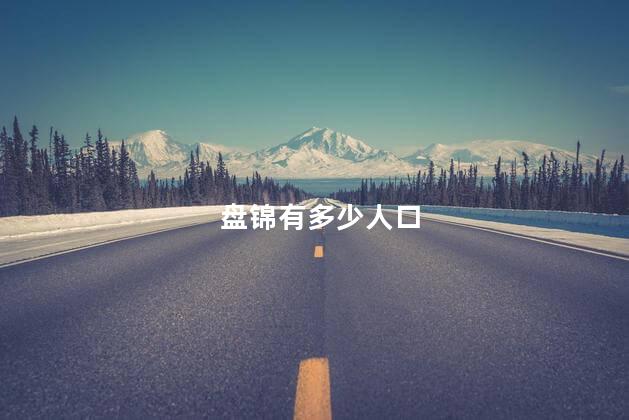 盘锦有多少人口