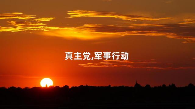 真主党,军事行动