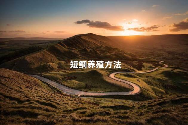 短鲷养殖方法 短鲷养殖方法