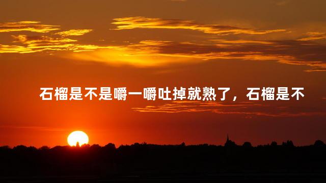 石榴是不是嚼一嚼吐掉就熟了，石榴是不是嚼一嚼吐掉就熟了呢