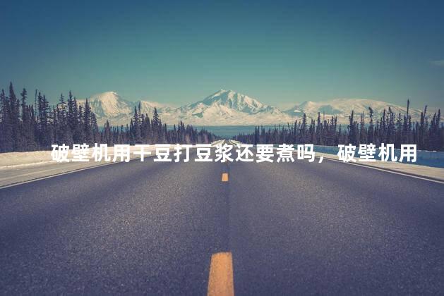 破壁机用干豆打豆浆还要煮吗，破壁机用干豆打豆浆还要煮吗