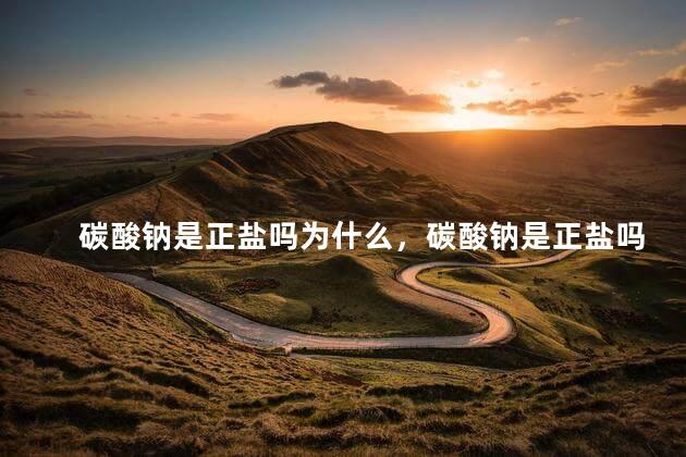 碳酸钠是正盐吗为什么，碳酸钠是正盐吗还是反盐