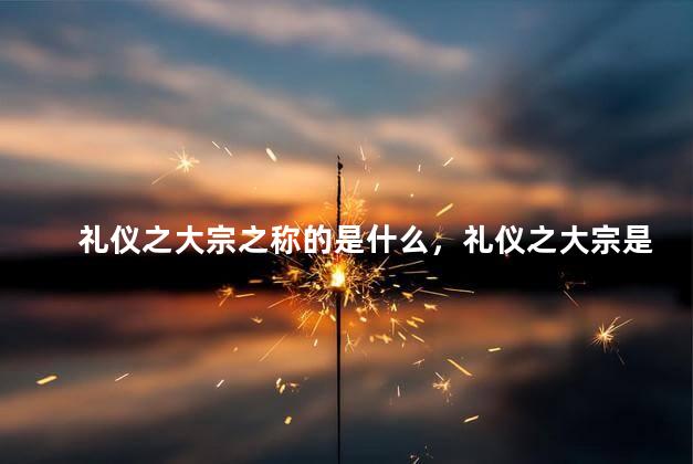 礼仪之大宗之称的是什么，礼仪之大宗是什么