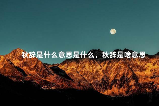 秋辞是什么意思是什么，秋辞是啥意思