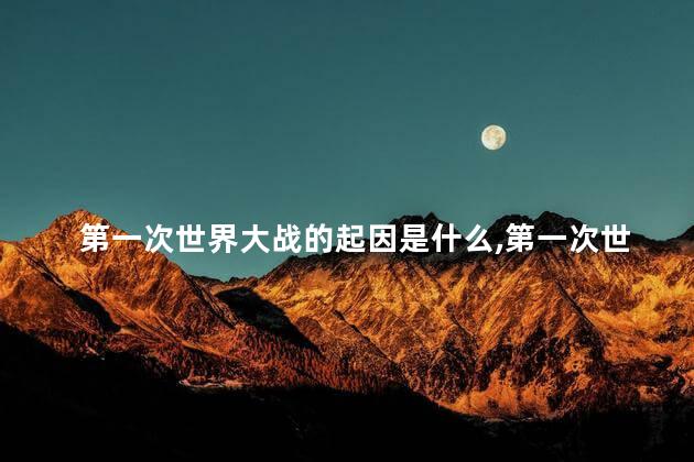 第一次世界大战的起因是什么,第一次世界大战的起因是什么国家 第一次世界大战的起因是什么,第一次世界大战的起因是什么国家