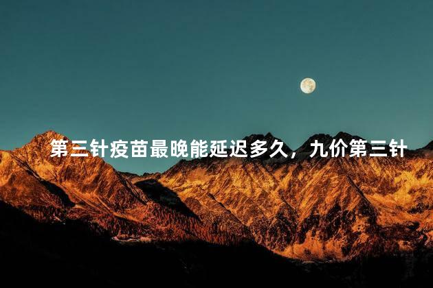 第三针疫苗最晚能延迟多久，九价第三针疫苗最晚能延迟多久