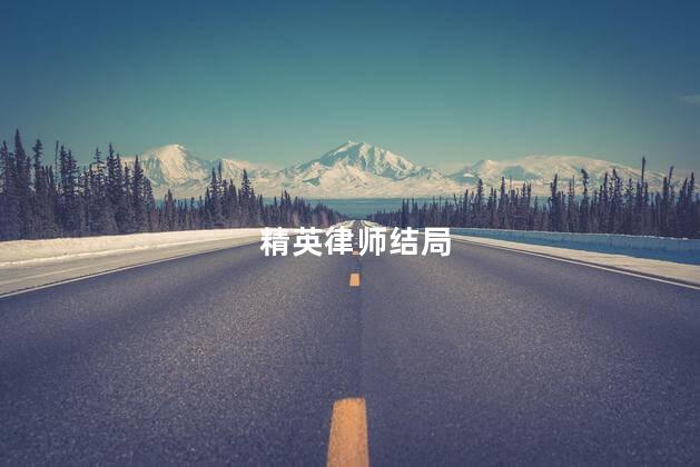 精英律师结局