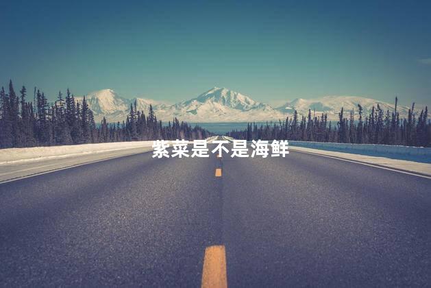 紫菜是不是海鲜