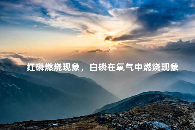红磷燃烧现象，白磷在氧气中燃烧现象